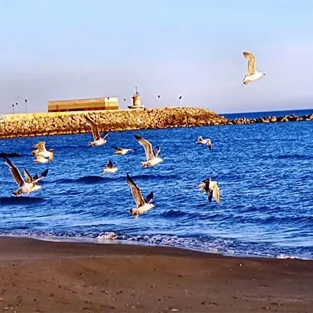 La Loggetta Sul Mare Holiday home *